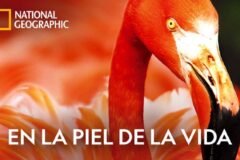 en la piel de la vida
