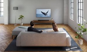 Barra de Sonido Sony HT- X8500