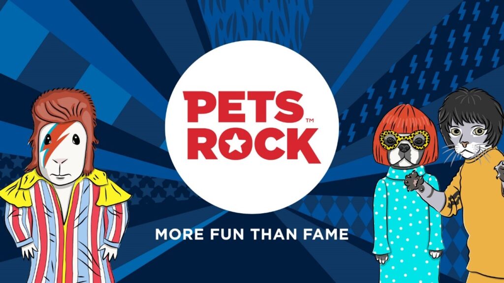 Pets rock