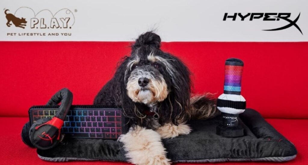 perrito gamer hyperx