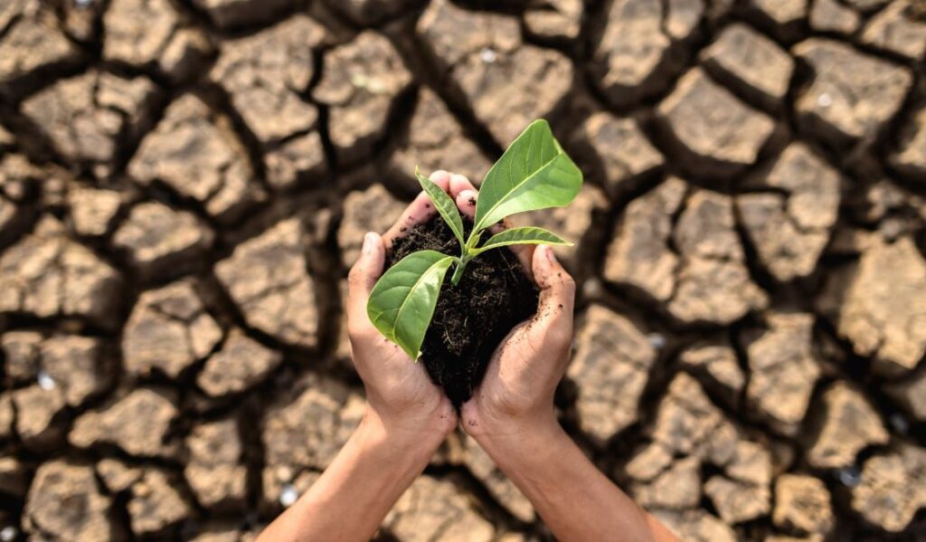 cambio climático epson