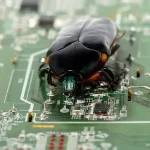 Guía para remover de manera segura insectos y bichos de la pantalla de tu PC o portátil