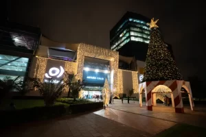 Navidad Mallplaza_98