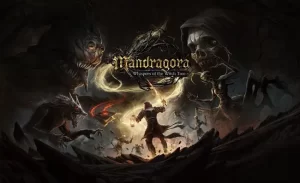 mandragora