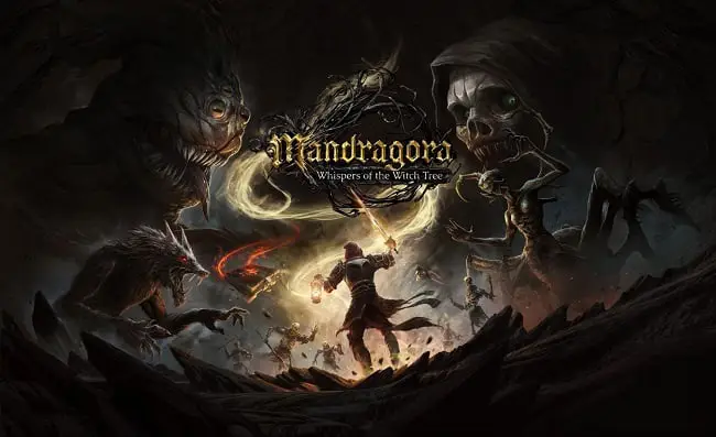 mandragora