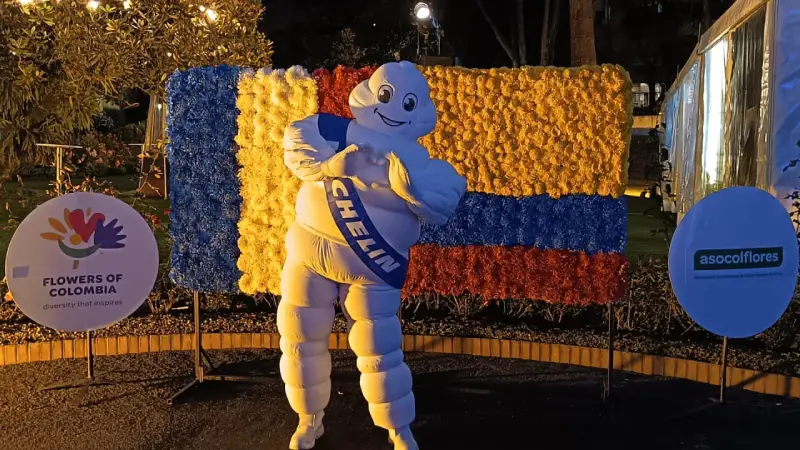 Michelin francia colombia