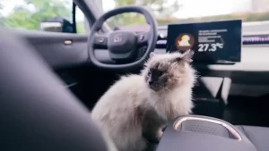 Modo Mascota_Foto3_Crédito Cortesía ZeekrColombia