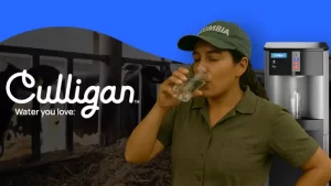culligan
