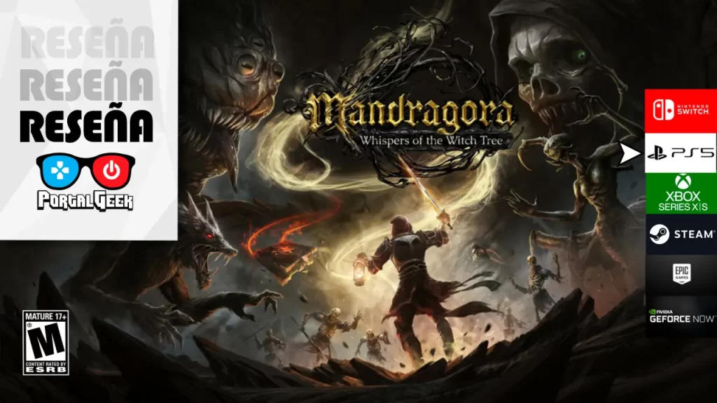 mandragora