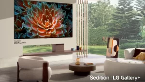 Sedition_LG Gallery_lifestyle_main