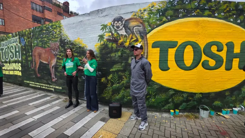tosh mural
