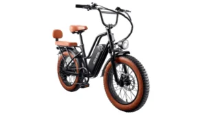 ACER-NITRO-eCity-Plus-e-bike 2