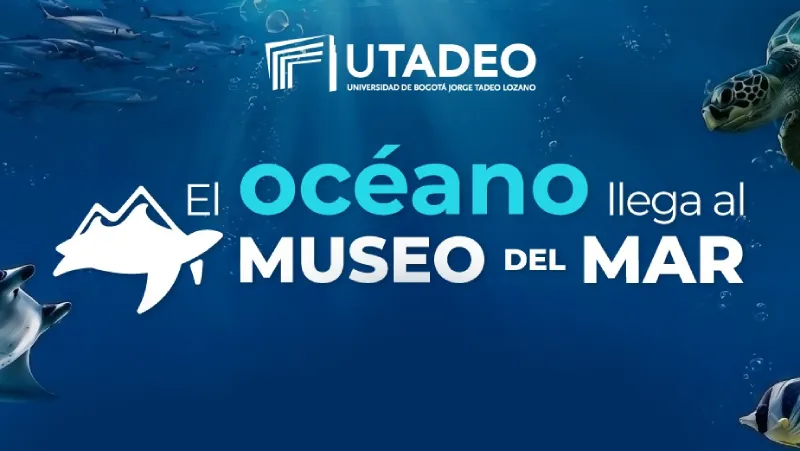 Museo del Mar